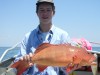 coral trout